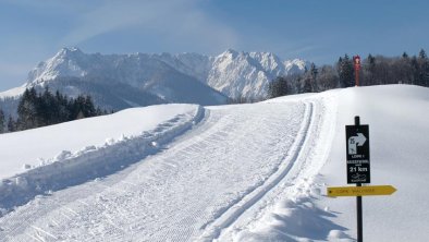 Langlaufen