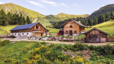 Almi's Steiner Alm in Obernberg, Wipptal-Tirol, © Almis Berghotel