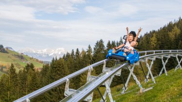 Der Alpine Coaster Drachenflitzer im Drachental, © TVB Wildschönau / Alex Mayr