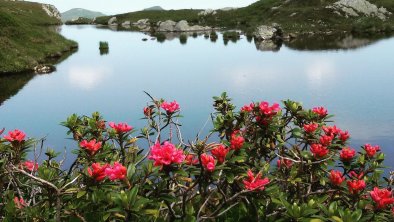 Moaeben Alpbach. Wanderung zur Steinbergalm, © Klingler Margit