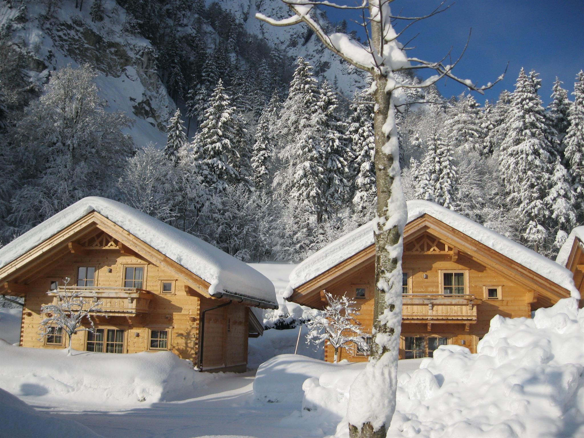 Zwei Holzhütten im Schnee, umgeben von verschneiten Tannenbäumen. Die Landschaft strahlt eine ruhige Winteridylle aus.