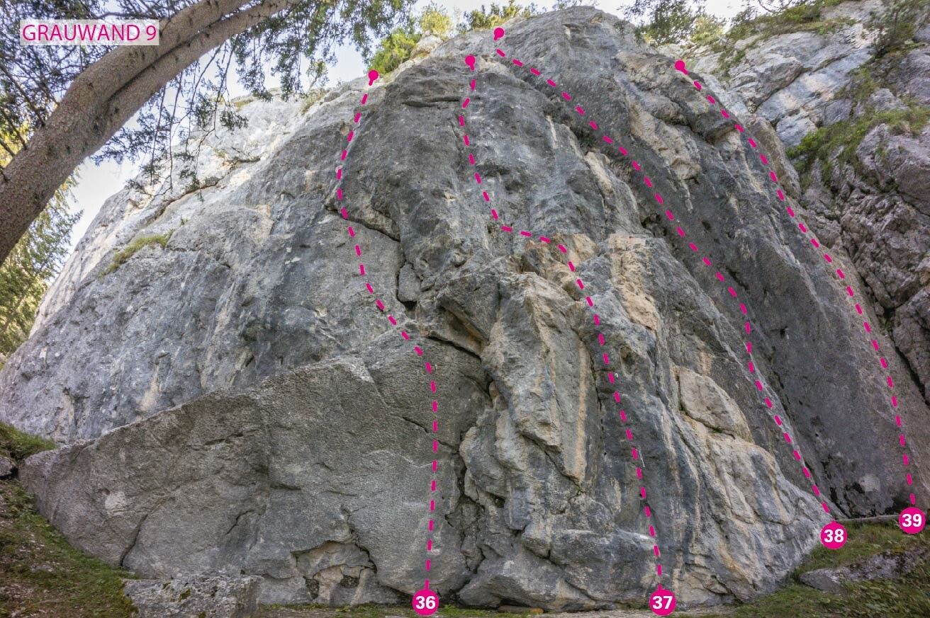 Topographie