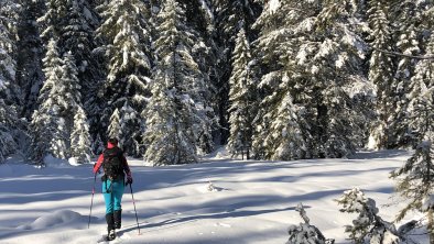 Schneeschuhwanderung zum Brunschkopf, © Dr. Hans-Jörg Pucher