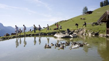 Wildpark Aurach, © Wildpark Aurach