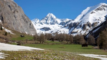 Ködnitztal mit Blick auf den Großglockner, © Tirol Werbung/Mario Webhofer