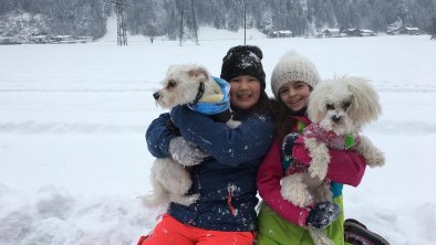 Wintersparziergang mit den Hundlang