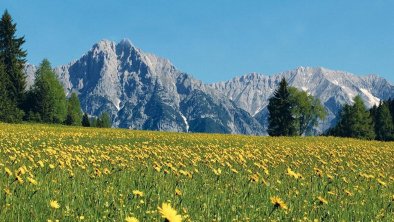 Sommer in Seefeld