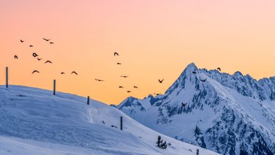 Winter  Sonnenaufgang Brandberger Kolm  Mayrhofen