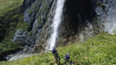 Wasserfall Wandern im  Zillertal Umgebung