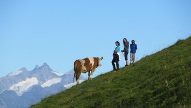 Mizunalm-Wanderung, © Alpin-Fereinwohnungen Hochzillertal