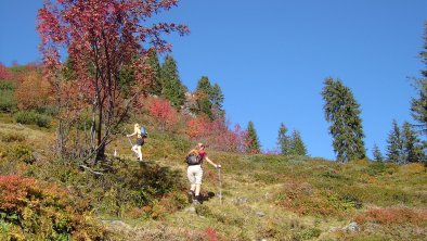 KAM_000740_Herbstwandern_Archiv-Kitzbueheler-Alpen