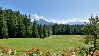 Appartement-Rettensteinhof-Going-Roemerhofweg-85-A