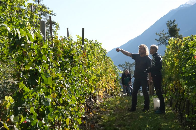 Die Winzer Peter Zoller und Sieglinde Knabl beim fachsimpeln.