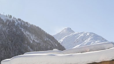 Apart Alpenleben Winteransicht