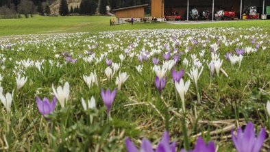 Frühling