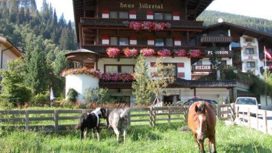 Pension Zillertal - Pferde in Nachbars Garten!, © Günther Hauser