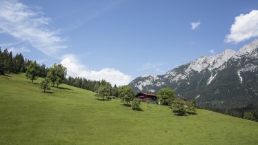 Obholzhof, © Tirol Werbung/Lisa Hörterer