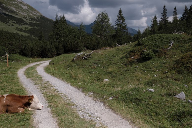             Wanderer stöhnen, Gravelbiker jubeln: eine leicht geneigte, schier endlose Schotterstraße!
          