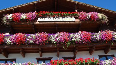 Gästehaus Edelweiss Reith bei Seefels Sommer