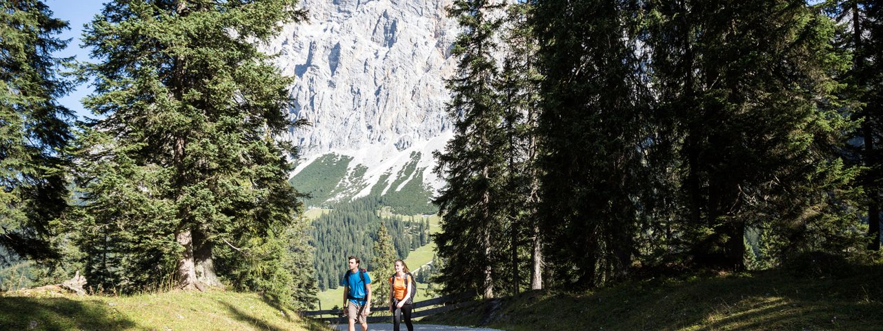Wanderweg im Gaistal, © Tirol Werbung/Dominik Gigler