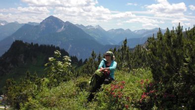 Blick auf die Lechtaler Berge