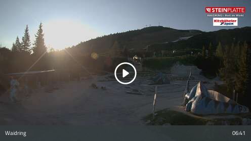 Webcam Triassic Park