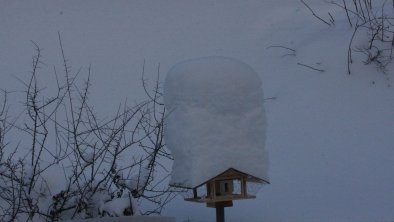 2019-01-11 Schnee (18), © Bergfrieden