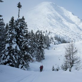 Skitourengehen, © Tirol Werbung/Martina Wiedenhofer