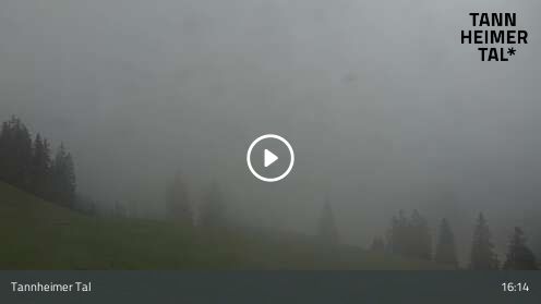 Webcam Krinnenalpe