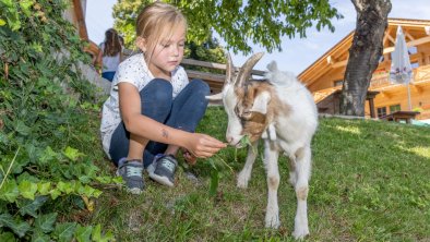 https://images.seekda.net/AT_UAB7-09-09-06/Kinderprogramm_Goglzug_Sommer_c_becknaphoto_%28571%29.jpg