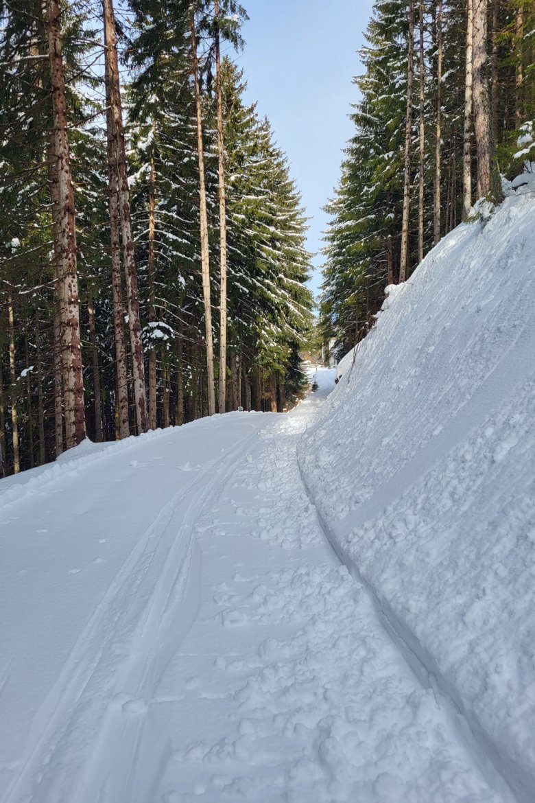 Ankommen: Die Familienabfahrt Nr. 6 f&uuml;hrt durch einen kurzen Tunnel. Nach ein paar Metern folgt die Piste einer Rechtskurve, aber Achtung: noch oberhalb dieser Kurve f&uuml;hrt ein kleiner Weg rechts in den Wald. Wer diesem Weg folgt, erreicht in 5 Minuten die Kirche Heiligwasser, gleich dahinter befindet sich der gleichnamige Gasthof., © Tirol Werbung - Julia König