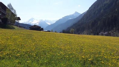 Ausblick Sommer