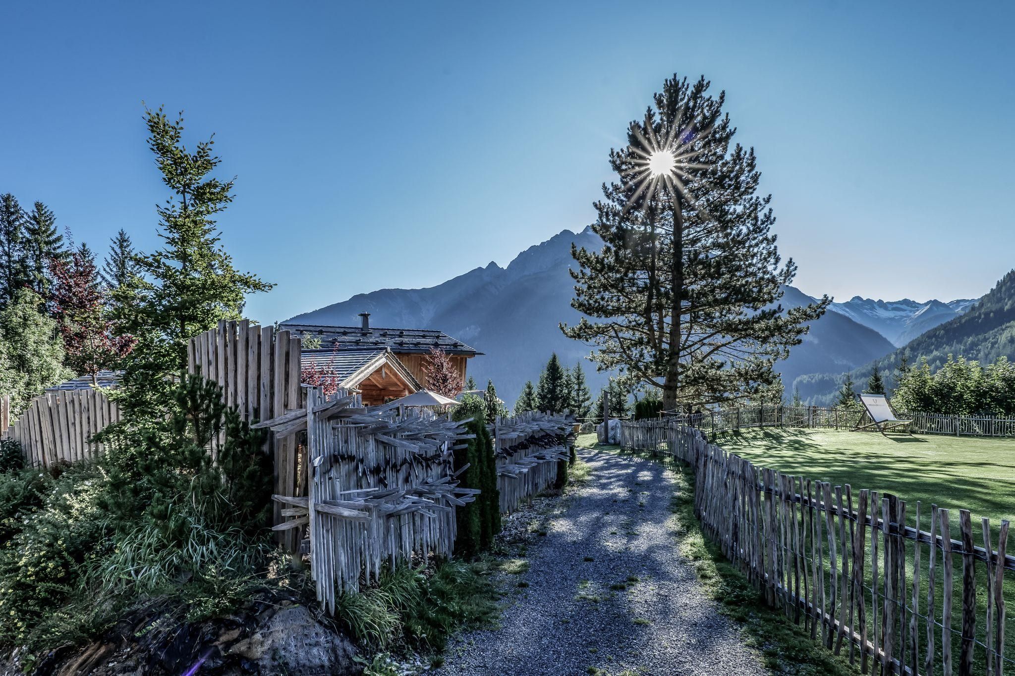 Ein malerischer Weg führt durch eine ländliche Landschaft mit Bergen im Hintergrund. Die Sonne scheint durch die Bäume und sorgt für eine angenehme Atmosphäre.