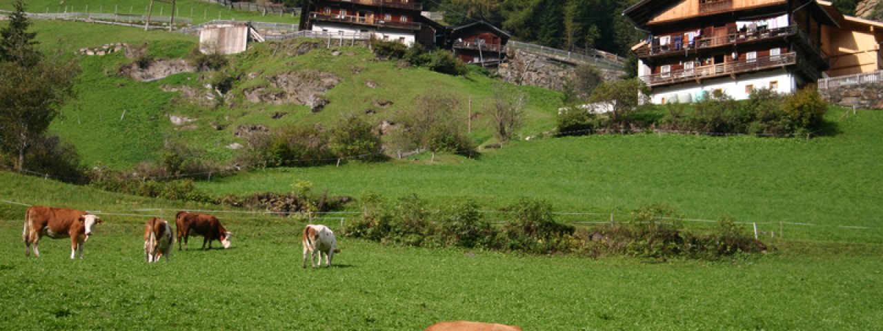 Sommerurlaub im Hochpustertal, © Osttirol Tourismus