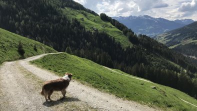 Wanderung Torhelm Gerlos, © Theresia Rahm