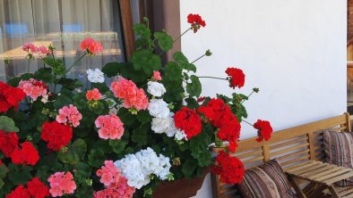 Moaeben Alpbach mit Blumen