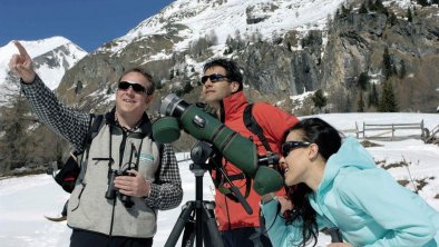 Naturewatch Tour mit einem Nationalpark Ranger, © Osttirol Werbung