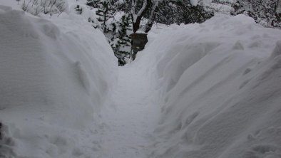 Garten bei viel Schnee