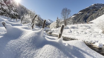 Tux_Winterlandschaft Winter Kollektion 2020 a