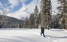 Winterwandern in der Achensee-Region, © Achensee Tourismus