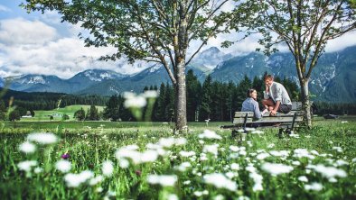 Schafe auf den Bergen in Leutasch, © Olympiaregion Seefeld, Mathäus Gartner