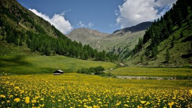 Natur Villgratental Sommer, © Edelberg Apartments