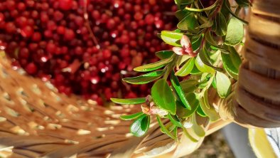 Herbstfrüchte - Preiselbeeren