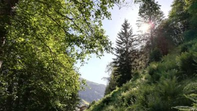 Wanderweg Tuxbach