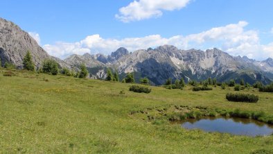 Kircher Alm mit Lienzer Dolomiten im Hintergrund, © Schneider