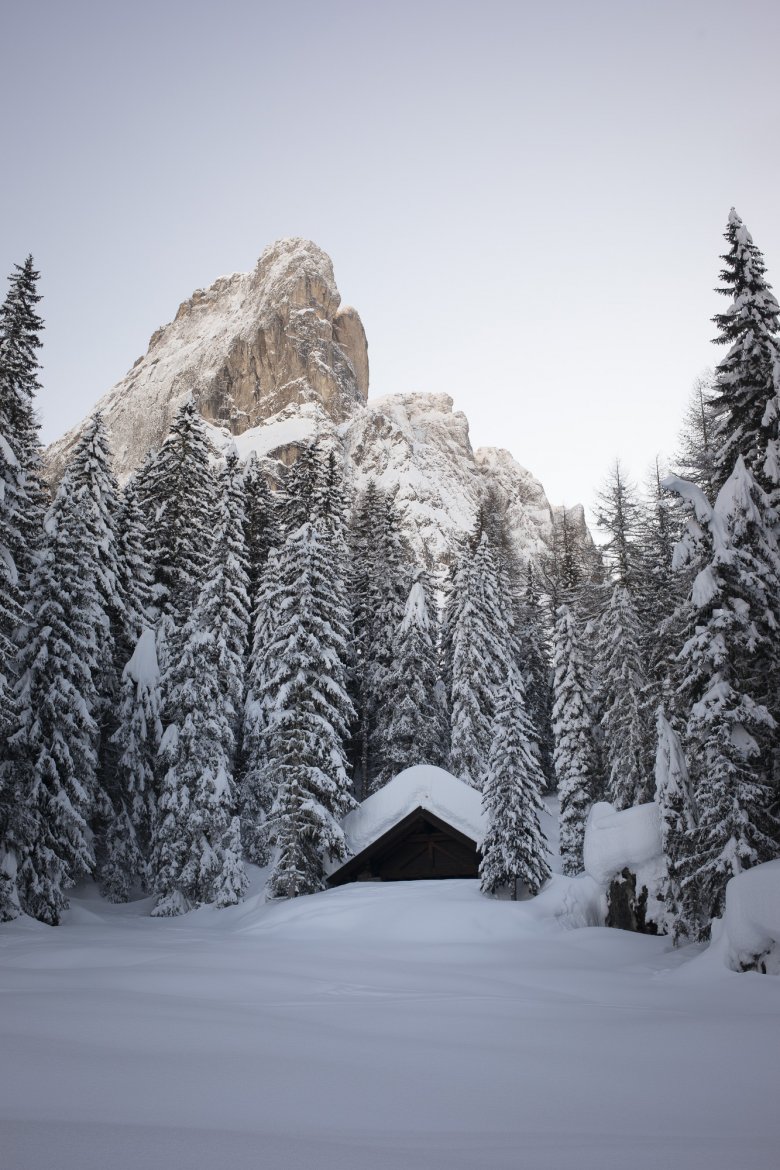             Rund um die Hütte erwartet den Besucher eine zauberhafte Winterlandschaft.

          