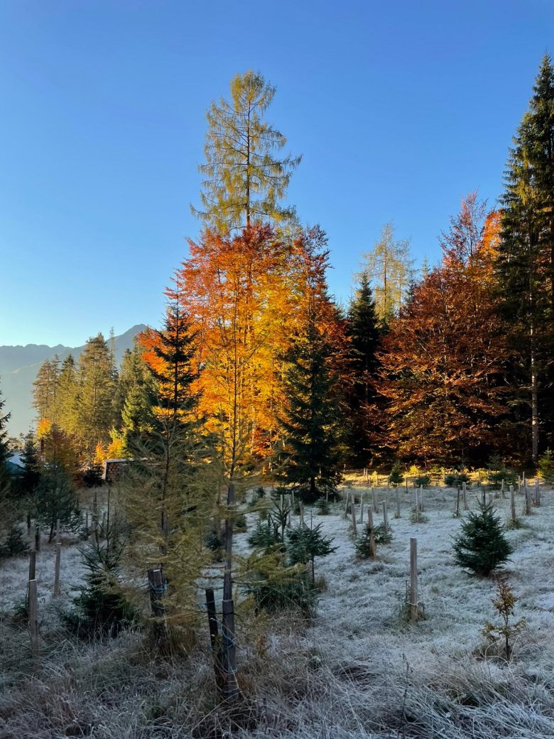                         Besonders schön ist es auf der Nase des schlafenden Riesen im Herbst.

          
          , © Julia Scheiring