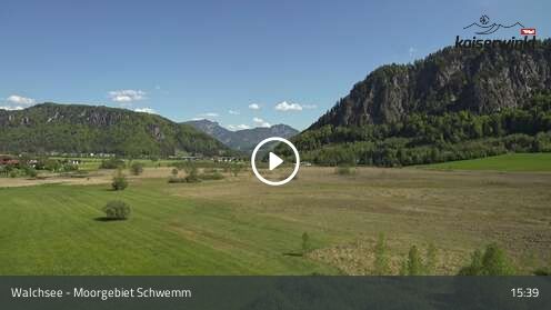 Webcam Moorgebiet Schwemm