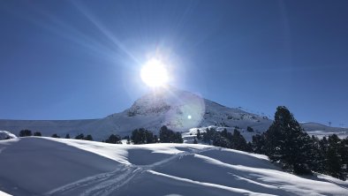 Winterlandschaft_Tirol