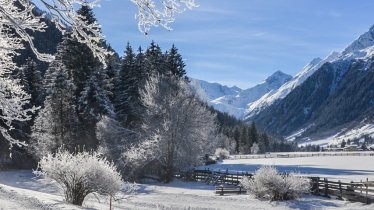 Winterwanderung im Gschnitztal, © Joakim Strickner